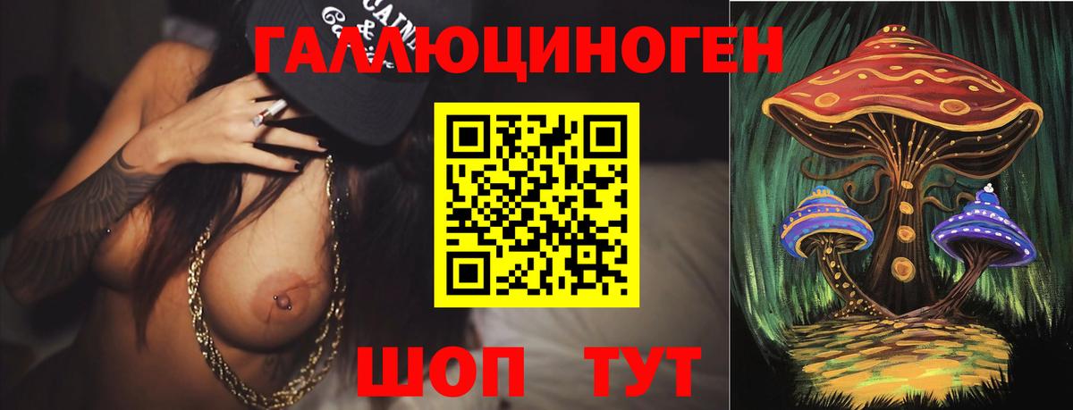 Галлюциногенные грибы Psilocybe Зеленогорск