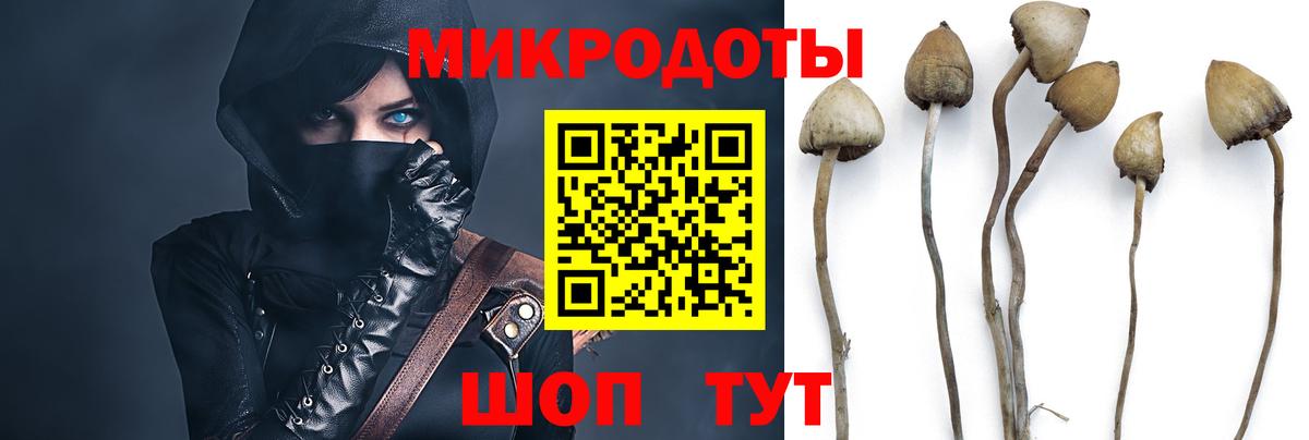Псилоцибиновые грибы GOLDEN TEACHER  Вход с VPN  Зеленогорск 